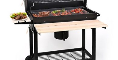 Oneconcept Gq5 Barbacoa