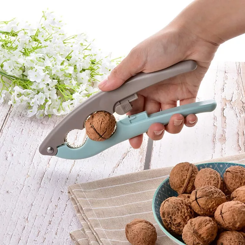 Abrazadera Para La Cascara Nuts En Oferta Abrazadera Para La Cascara Nuts Barato