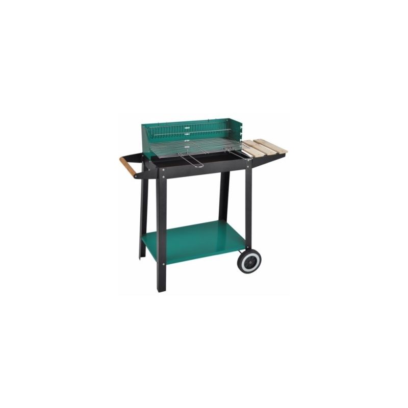 Barbacoa Carb 87x45x83 C/rda Montana - Natuur barato