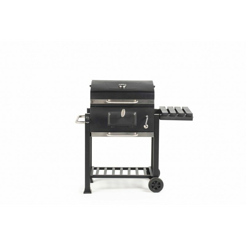 Barbacoa de carbón Etna barato