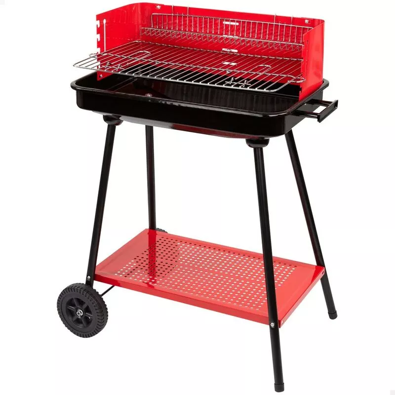 Barbacoa de carbón para 6 personas - Aktive barato