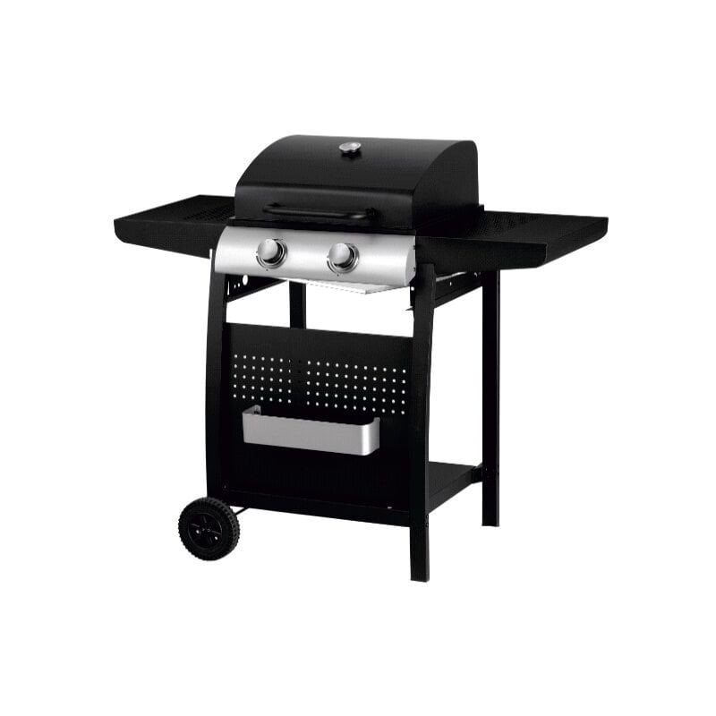 Barbacoa de gas con 2 quemadores barato