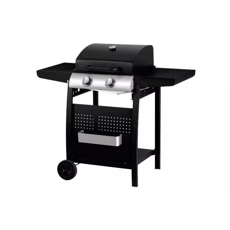 Barbacoa De Gas Con 2 Quemadores En Oferta Barbacoa De Gas Con 2 Quemadores Barato