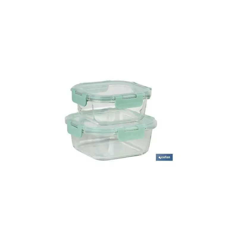 Cofan - PLIMPO set de 2 recipientes de borosilicato modelo agatha 520 ml - 800 ml barato