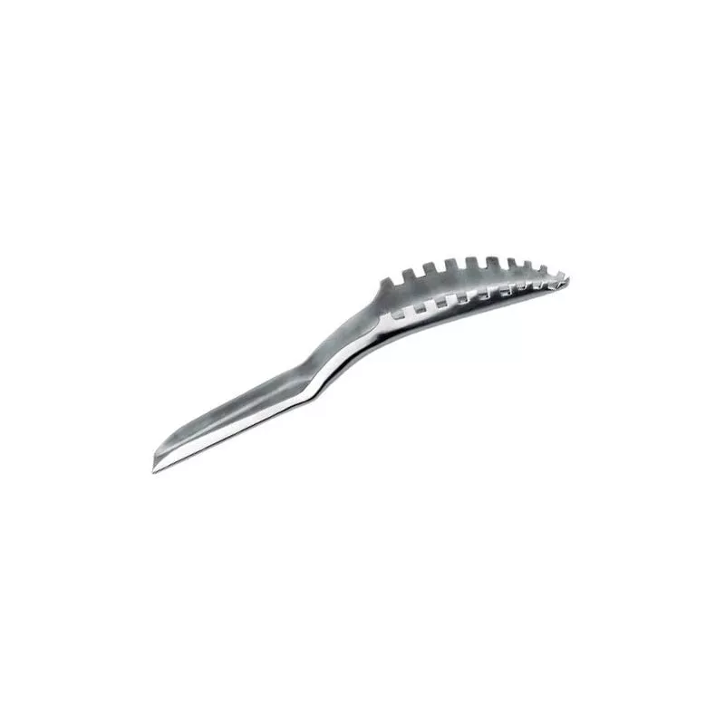 Descamador De Acero Inoxidable ( 13145) - Boj En Oferta Descamador De Acero Inoxidable ( 13145) - Boj Barato