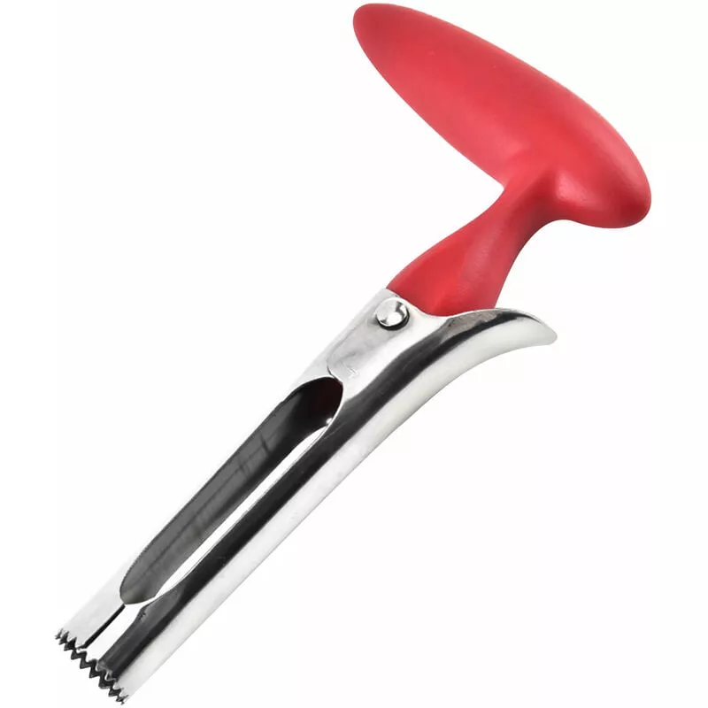 Descorazonador De Frutas De Acero Inoxidable Para Quitar Nucleos De Frutas Removedor De Nucleos Dentados Afilados Para Nucleos De Frutas Y Peras Con En Oferta Descorazonador De Frutas De Acero Inoxidable Para Quitar Nucleos De Frutas Removedor De Nucleos Dentados Afilados Para Nucleos De Frutas Y Peras Con Barato