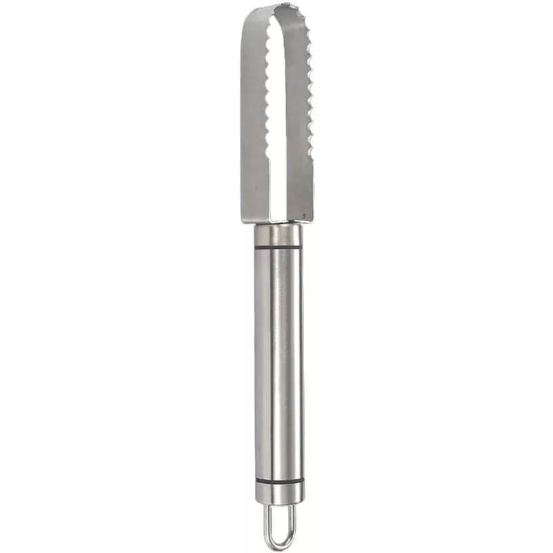 Eliminador De Semillas De Escamas De Pescado De Acero Inoxidable Eliminador De Escamas De Pescado Manual Raspador Dentado De Doble Fila Para En Oferta Eliminador De Semillas De Escamas De Pescado De Acero Inoxidable Eliminador De Escamas De Pescado Manual Raspador Dentado De Doble Fila Para Barato