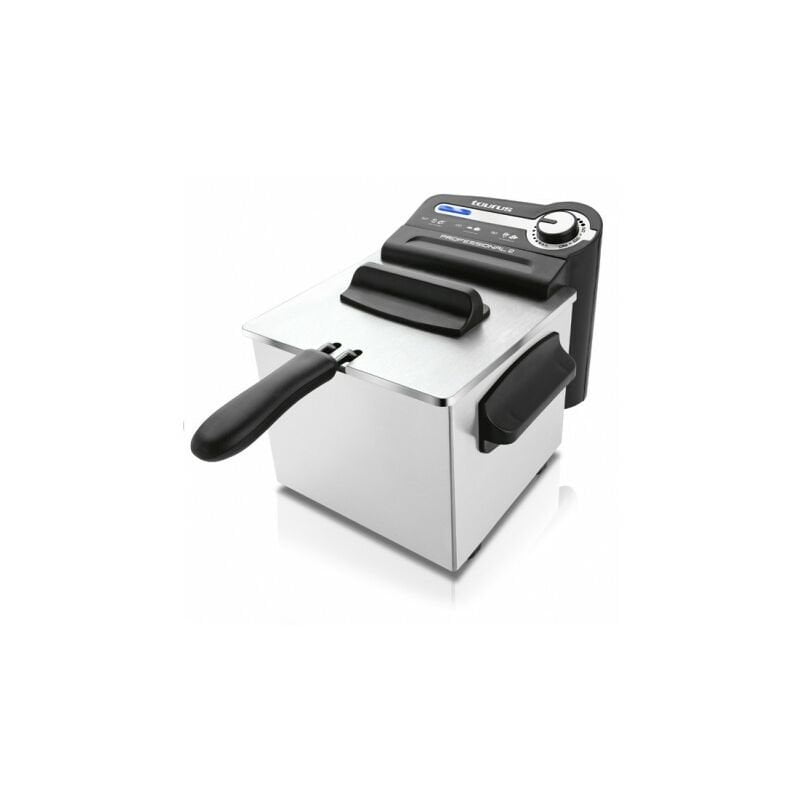 Freidora profesional inox 2 l barato