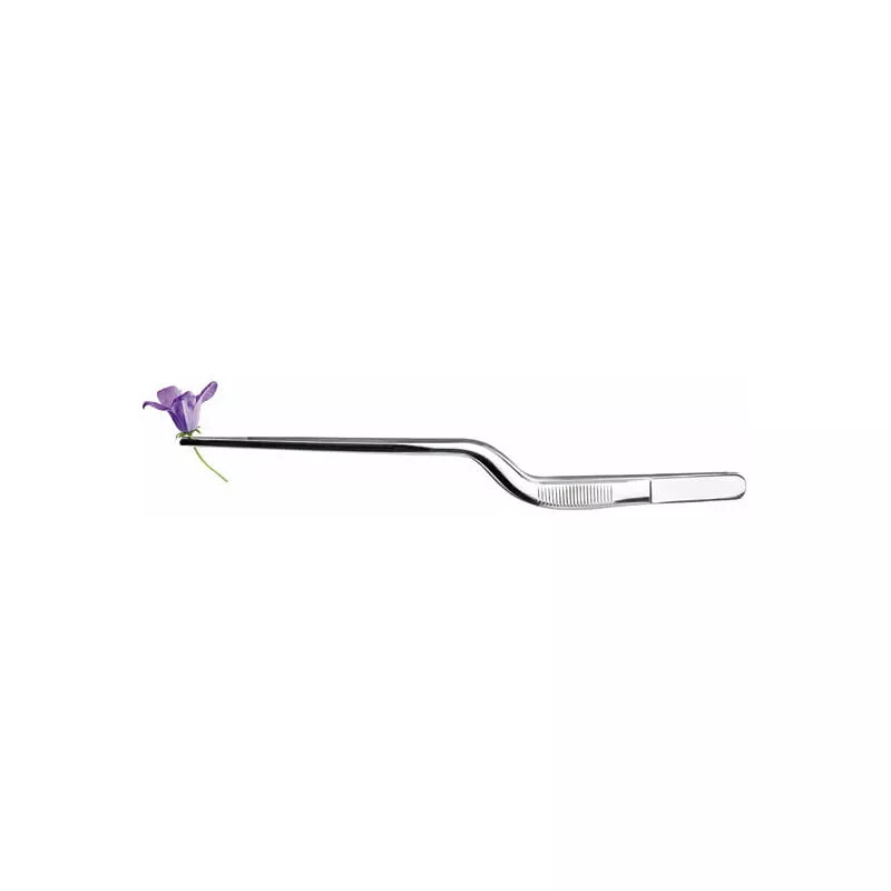 Ibili - Pinza Precision Curva 21Cm Inox En Oferta Ibili - Pinza Precision Curva 21Cm Inox Barato