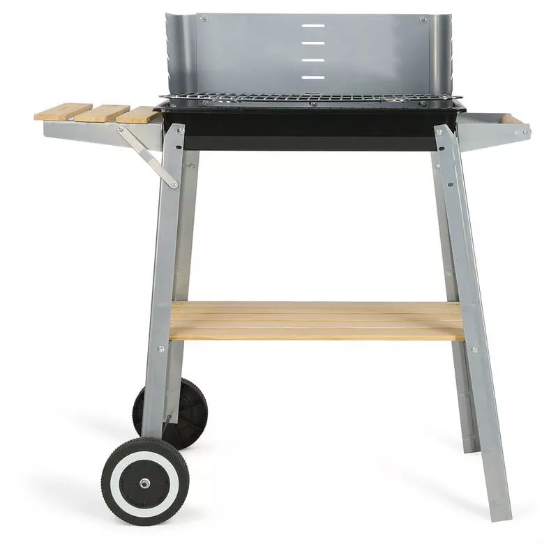 Livoo - Barbacoa De Carbón 48X28Cm - Doc244 En Oferta Livoo - Barbacoa De Carbón 48X28Cm - Doc244 Barato